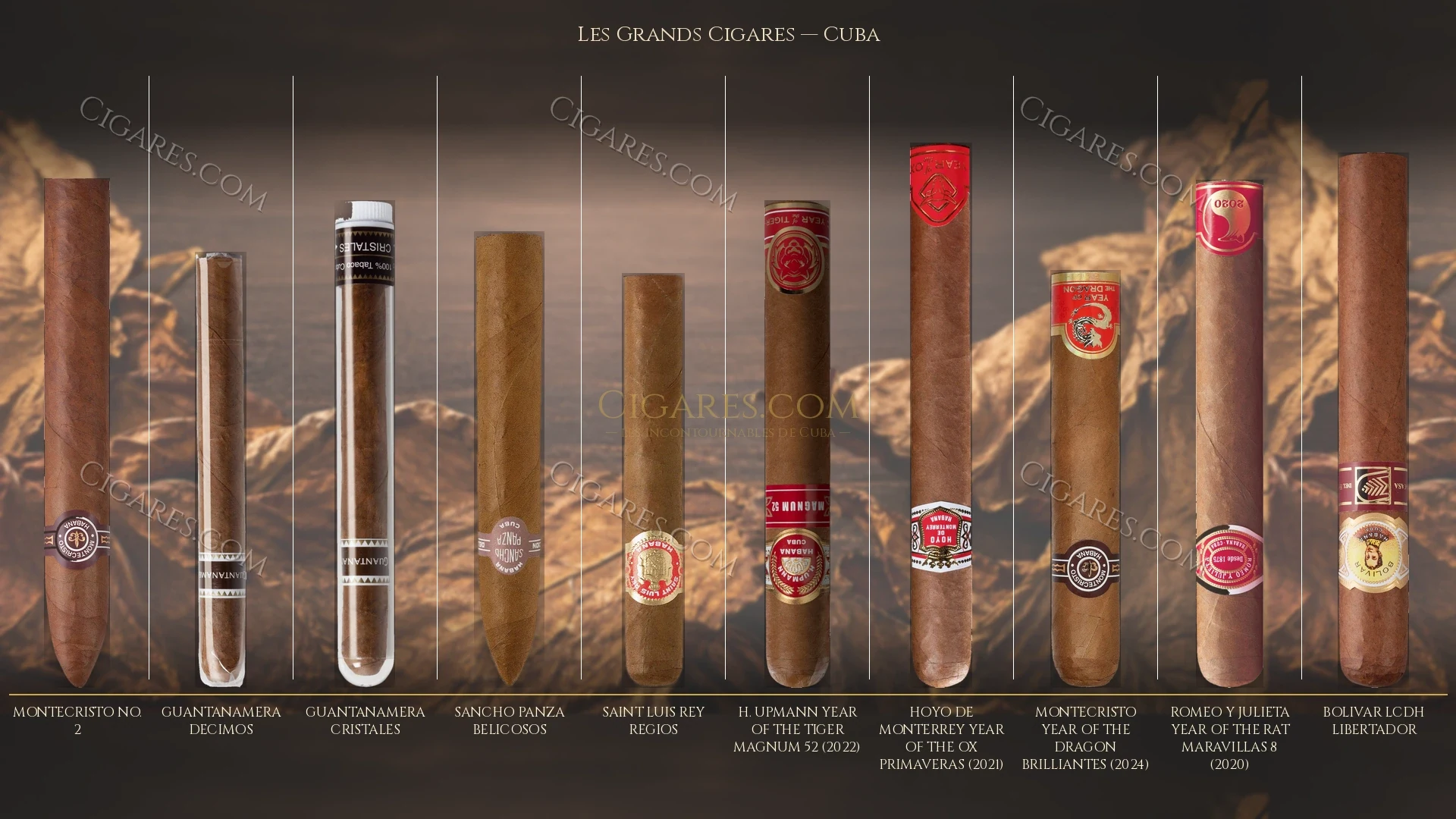 Top 10 cigares cubains — les plus populaires