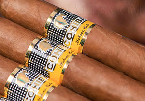 cohiba robusto