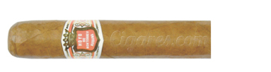 Module Petit Robusto